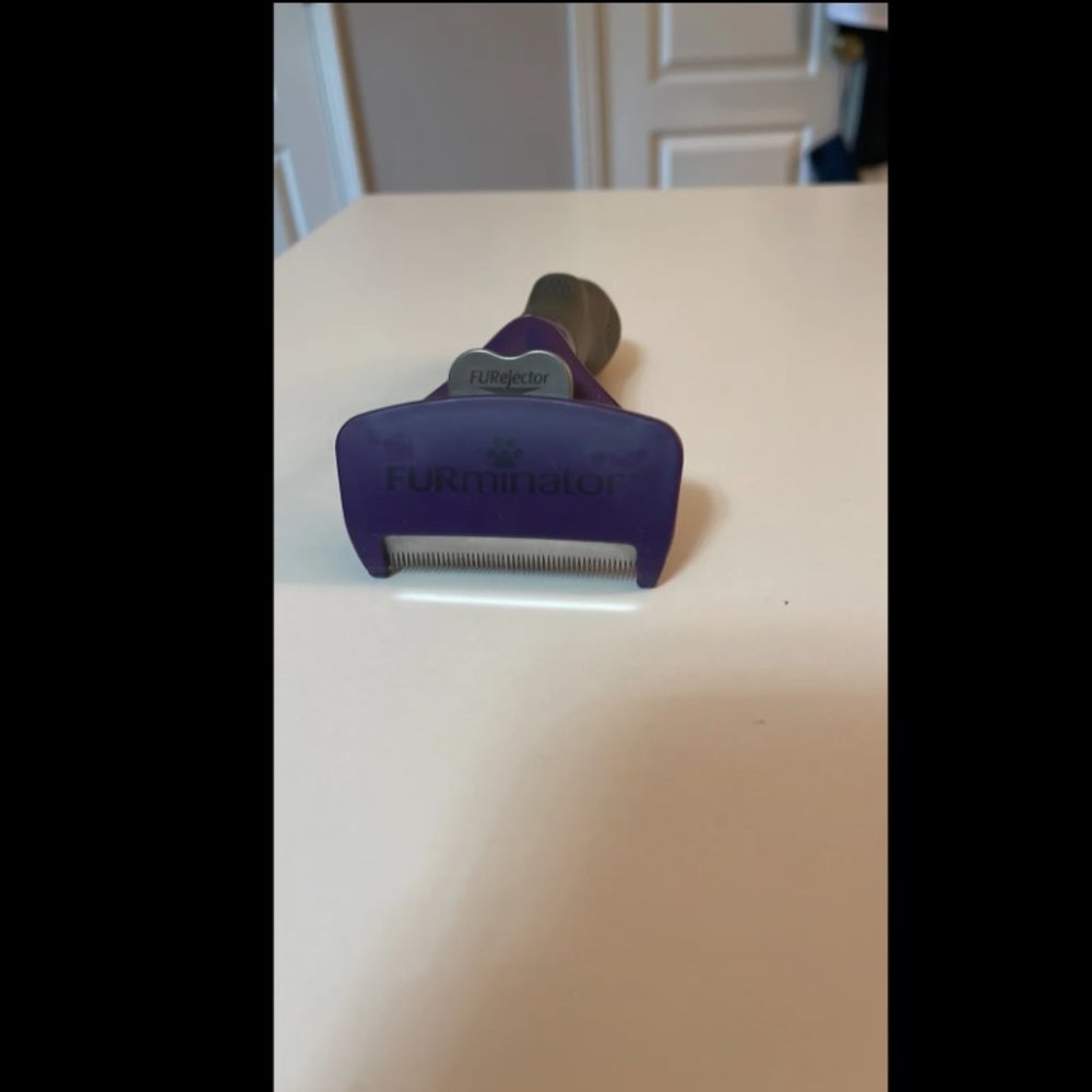 cat brush